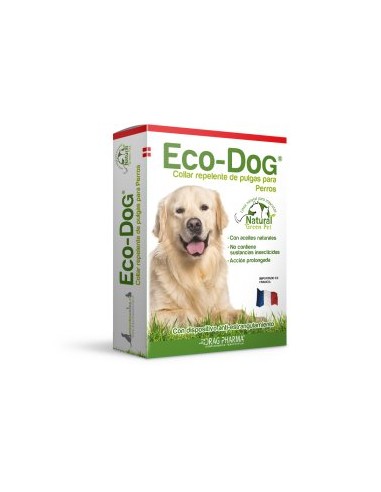 Collar Eco Dog