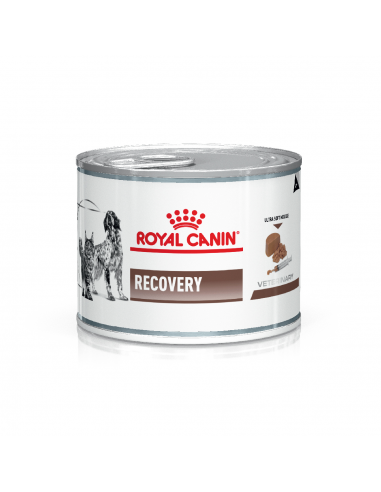 Royal Canin Recovery Perros y Gatos...