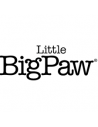 Little Big Paw